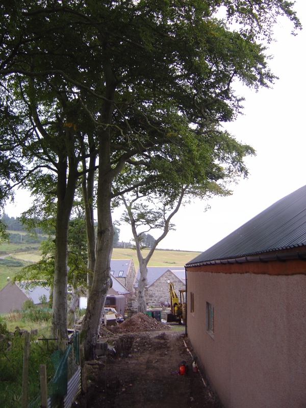 19th september 2009 005